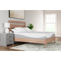12" PRESSURE ADAPTIVE MEMORY FOAM